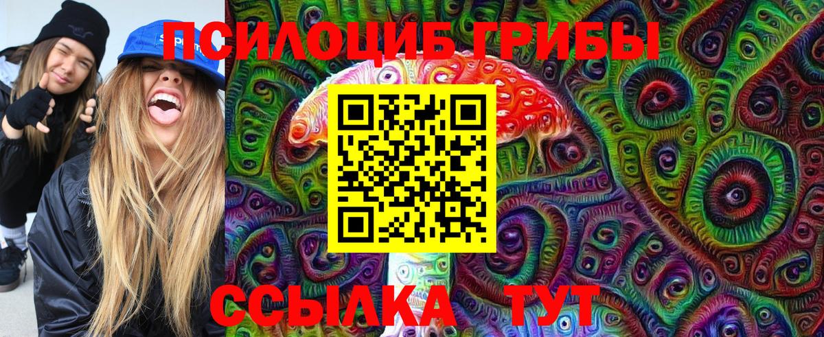 Приморско-Ахтарск  Галлюциногенные грибы Psilocybe  Вход с VPN 